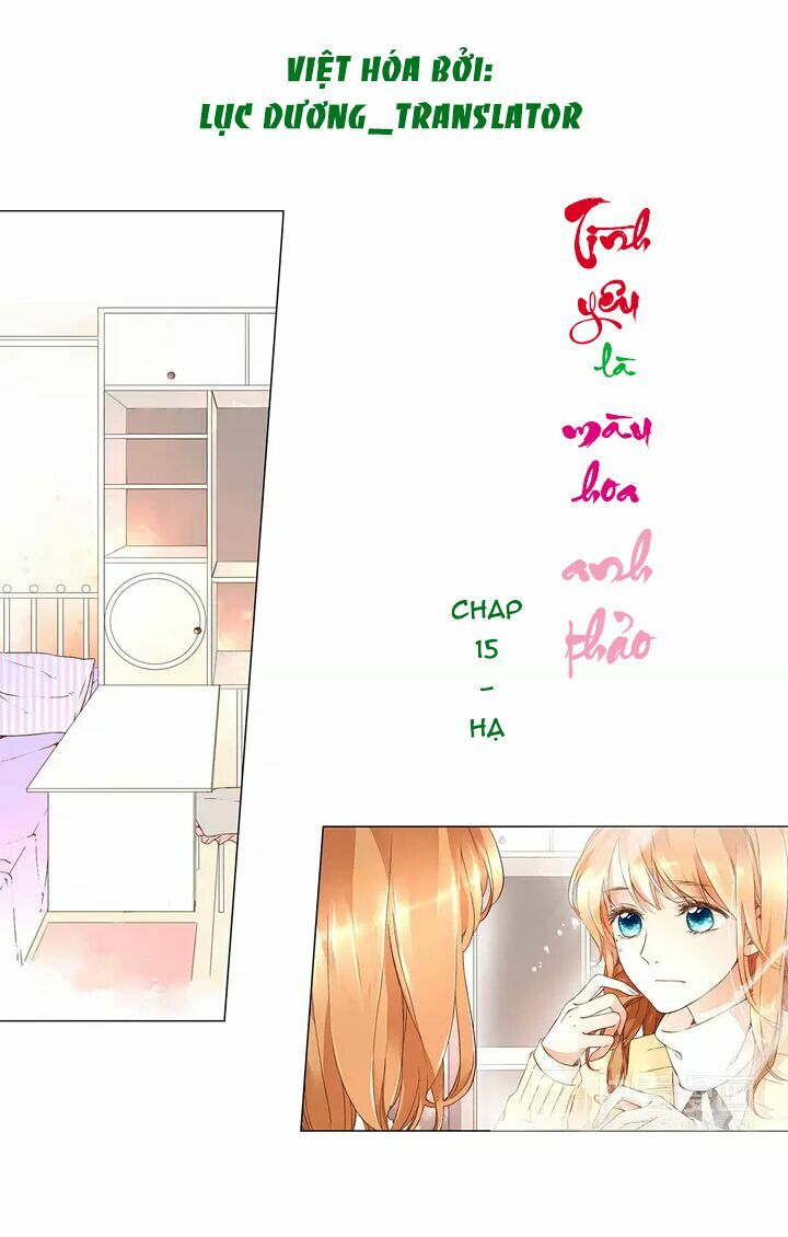 Tình yêu là màu hoa anh thảo chapter 15.2 1