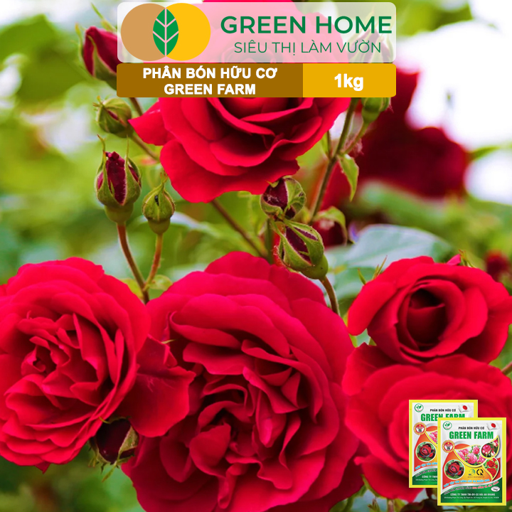 Phân Bón Hữu Cơ Green Farm, GreenHome, Gói 1kg, Chuyên Dùng Cho Cây Cảnh, Hoa Hồng