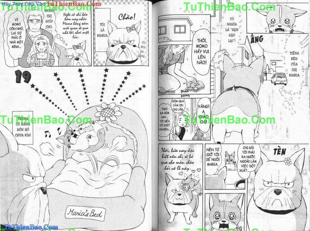 chó con mo mo chapter 5 66