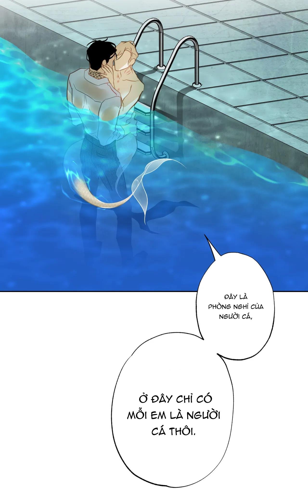 mỹ nhân ngư chapter 6 20