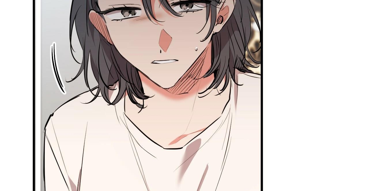 đàn thỏ của habibi chapter 36 106