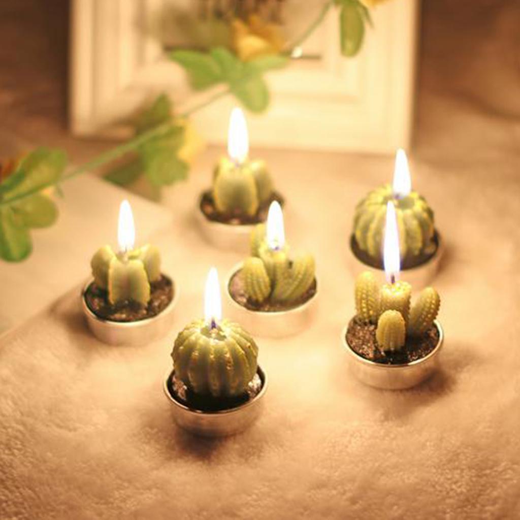 6 Pieces Quality Cactus Tealight Candles Tea Light Candle Holder Unscented Paraffin Wax Candles Vivid Plant Decoration Candles
