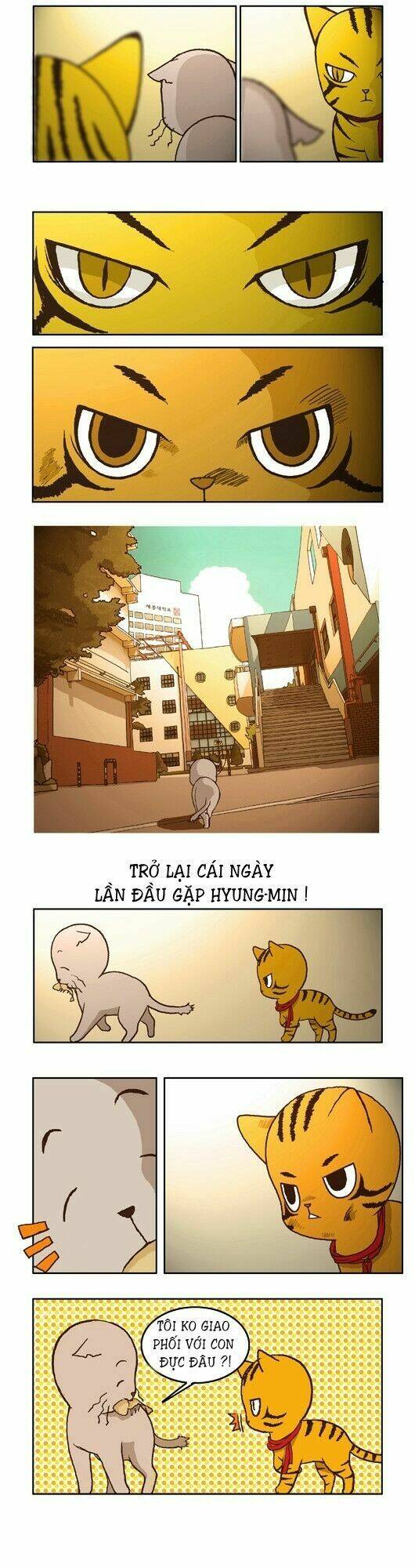 papi nyang chapter 4 9