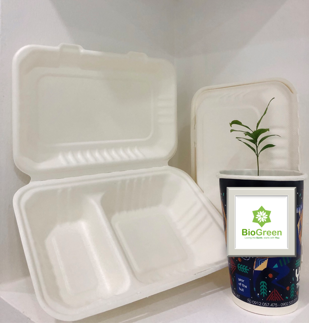50 hộp bã mía 2 ngăn 950ml hộp bento