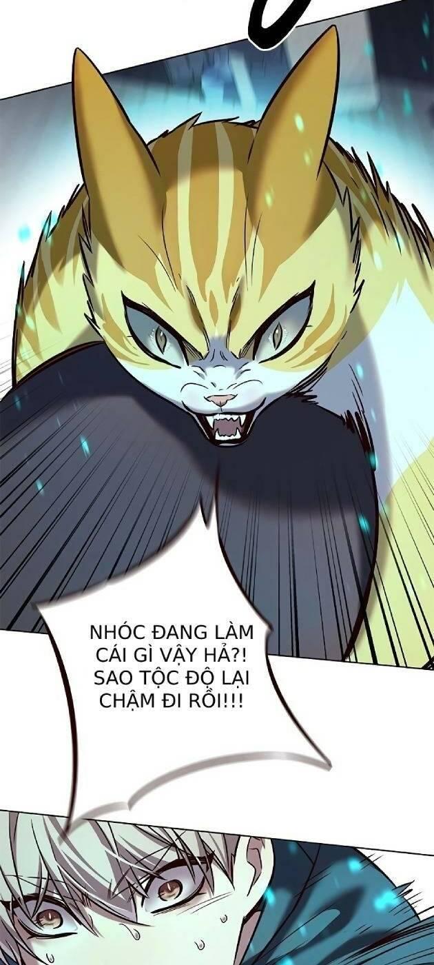 biến thân thành mèo chapter 241 12