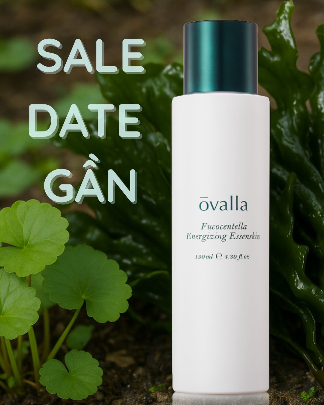 [SALE 50% CẬN DATE] Toner Nước Dưỡng Ẩm Thuần Chay OVALLA Fucocentella Energizing Essenskin Giúp Dưỡng Ẩm Phục Hồi Da, Giảm Nếp Nhăn Và Sáng Da 130ml Làm Đẹp Da Dưỡng Ẩm Da Skincare [CẬN DATE]