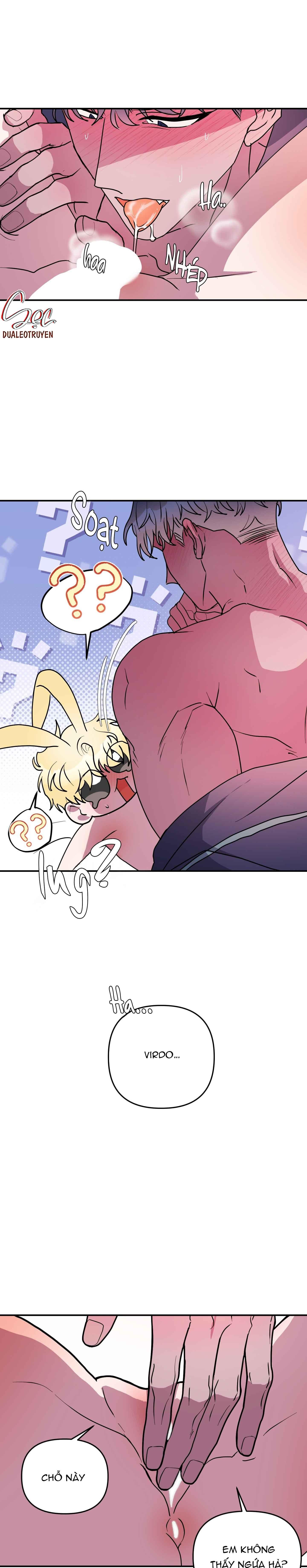 cá mập và cô dâu thỏ chapter 49 19