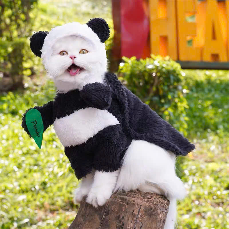 ÁO MŨ GẤU TRÚC CHO THÚ CƯNG CHÓ MÈO