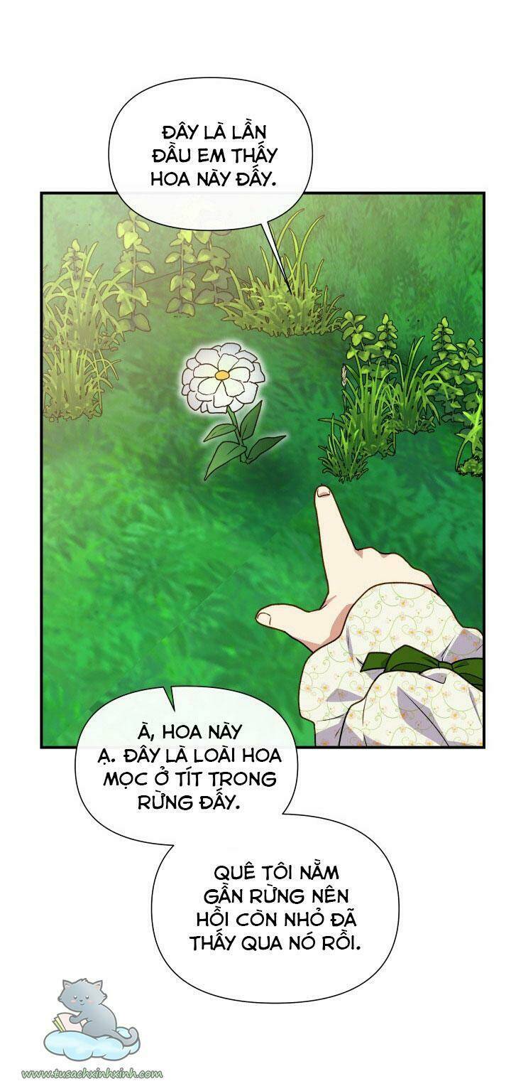 khế ước của nữ công tước quái vật chapter 131 62