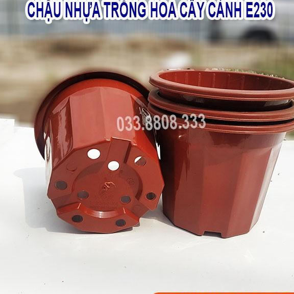 10 Chậu Nhựa Nâu Trồng Cây E230 - Chậu Bền Đẹp