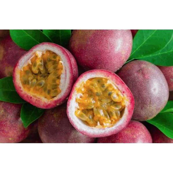 Cây chanh dây tím