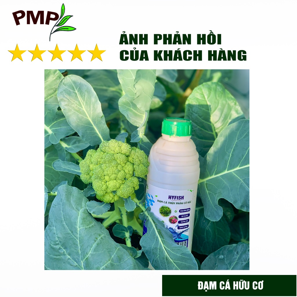 Phân đạm cá hữu cơ Hyfish PMP cho rau sạch, hoa, cây cảnh, cây ăn trái