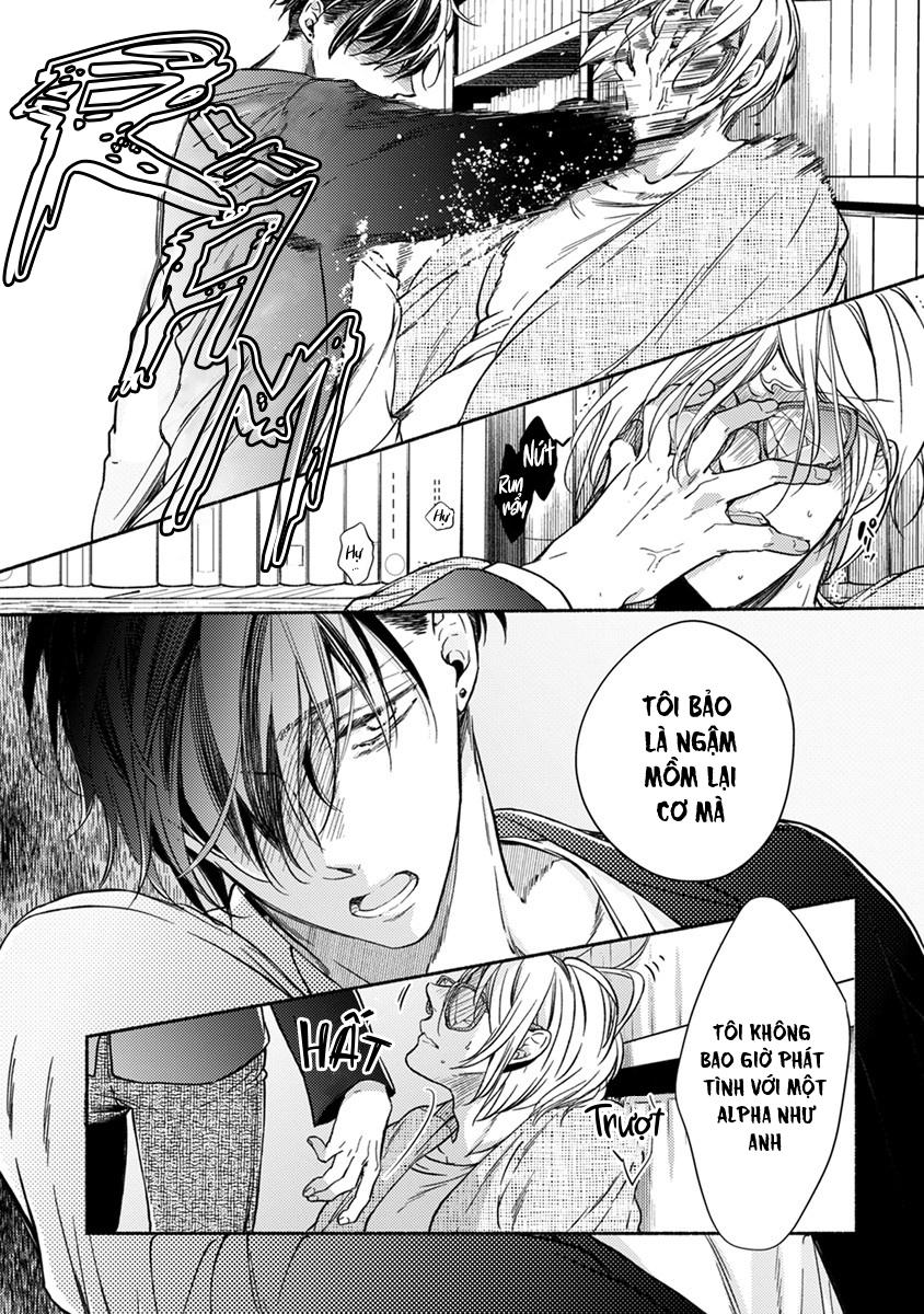 omega giả vờ kiên cường đó là bạn tình của tôi chapter 2 18