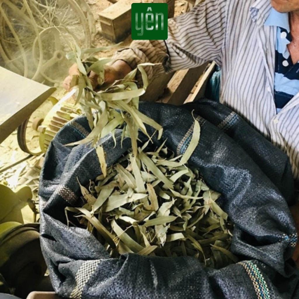 Nhang Khuynh Diệp Sạch Hộp 100 Thanh Loại 23-30-40cm Hộp 100 Thanh Yên 100 % Tự Nhiên Thờ Cúng Thư Giãn - Diệp-40cm-100thanh