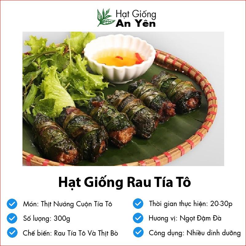 Hạt giống Tía Tô thu hoạch sớm, dễ trồng, nảy mầm cao, sinh trưởng khoẻ