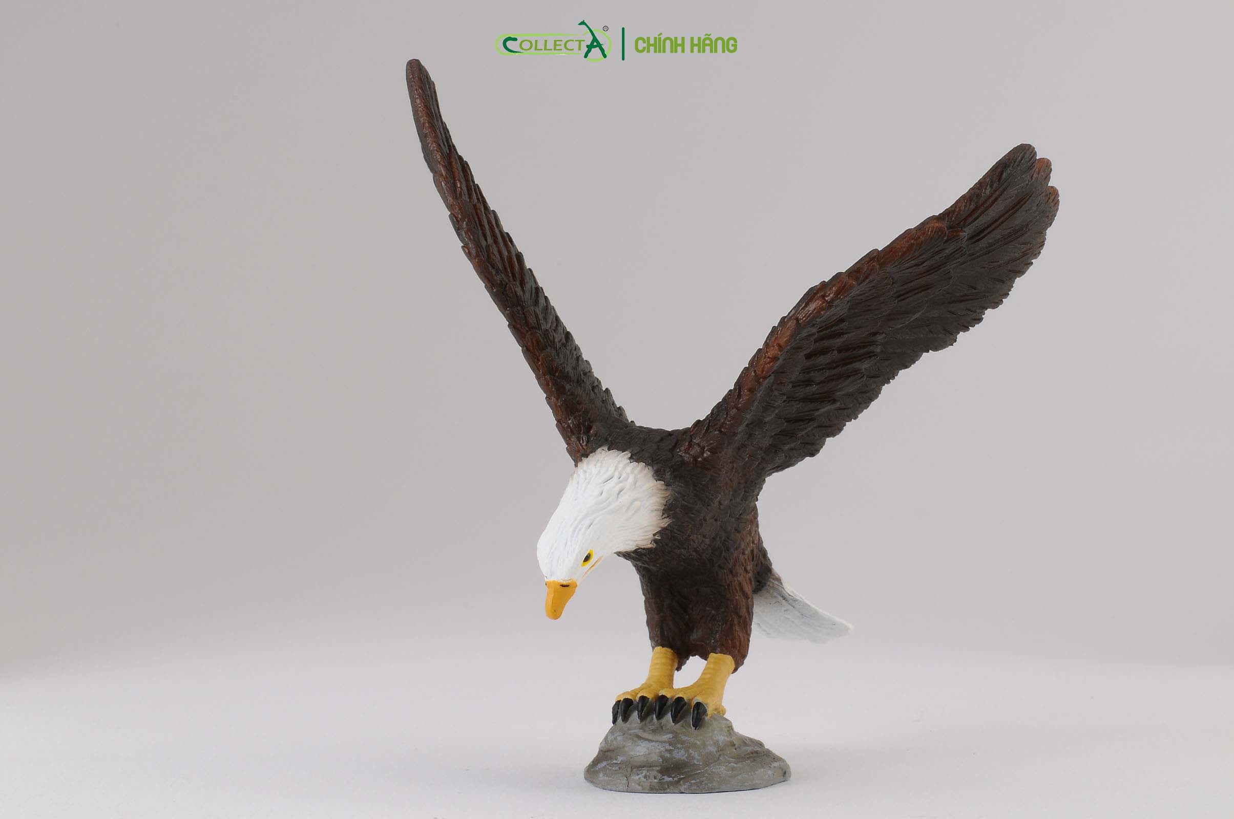 Mô hình thu nhỏ: Đại Bàng Đầu Trắng - American Bald Eagle, hiệu: CollectA, mã HS 9651440[88383] -  Chất liệu an toàn cho trẻ - Hàng chính hãng