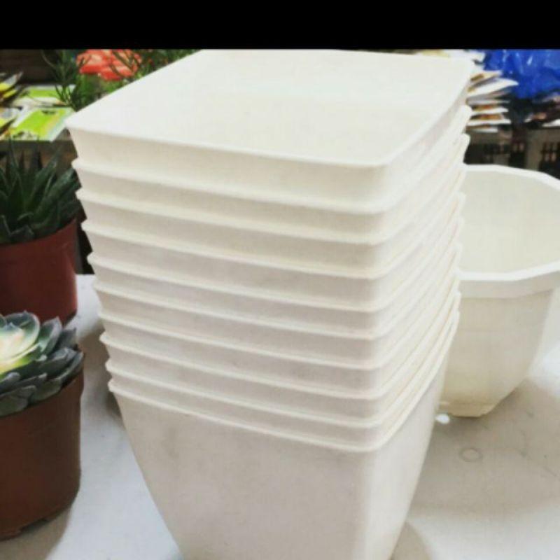 CHẬU VUÔNG V16 TRỒNG HOA CÂY CẢNH LOẠI 1 DÀY ĐẸP