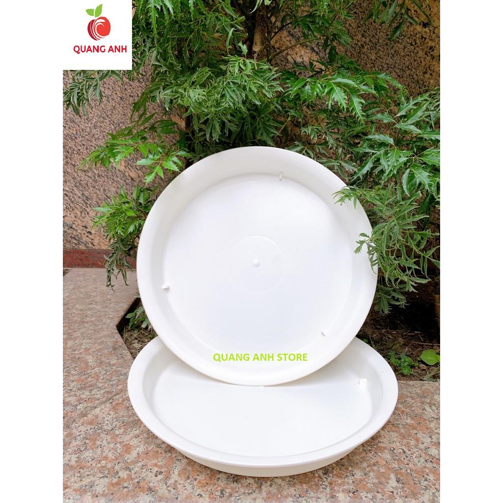 ĐĨA LÓT CHẬU CÂY CẢNH PHI 35