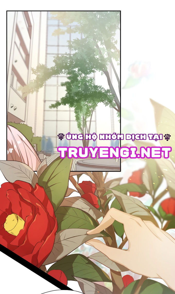 nụ hoa của newton chapter 6 13