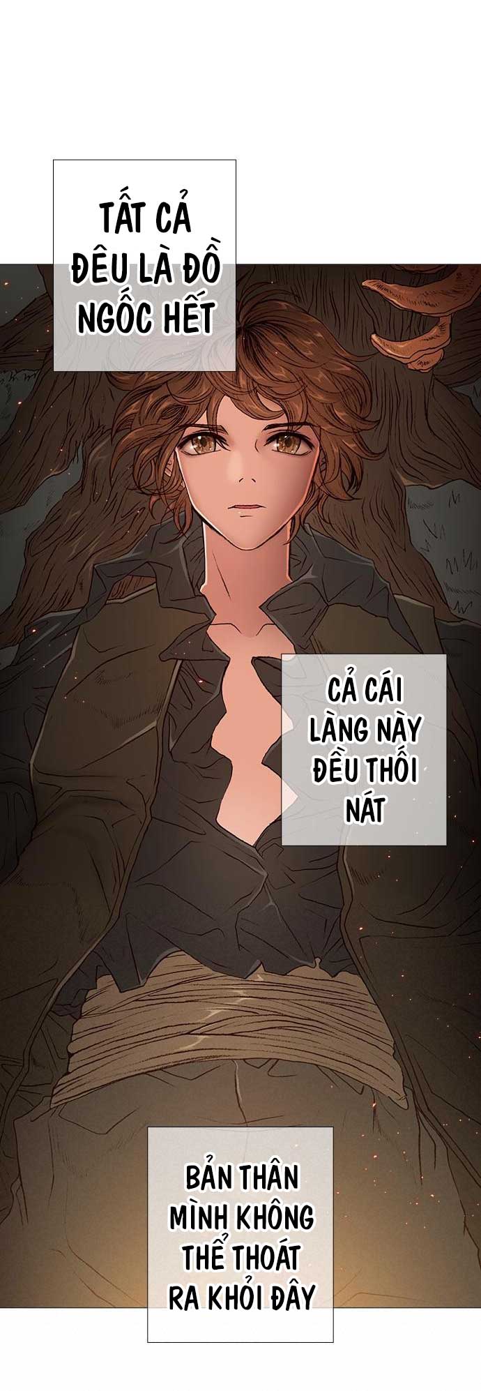 tôi chính là nhà sưu tập chim chapter 20 19