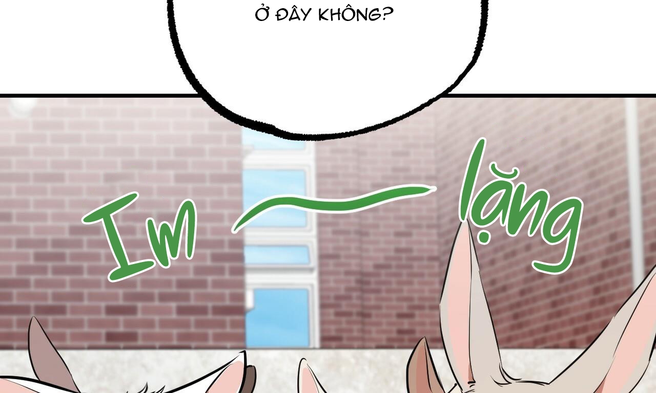 đàn thỏ của habibi chapter 39 100