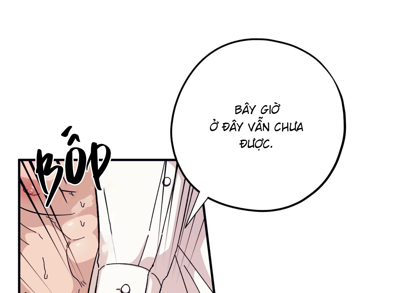 chàng dâu nhà họ kang chapter 44 23