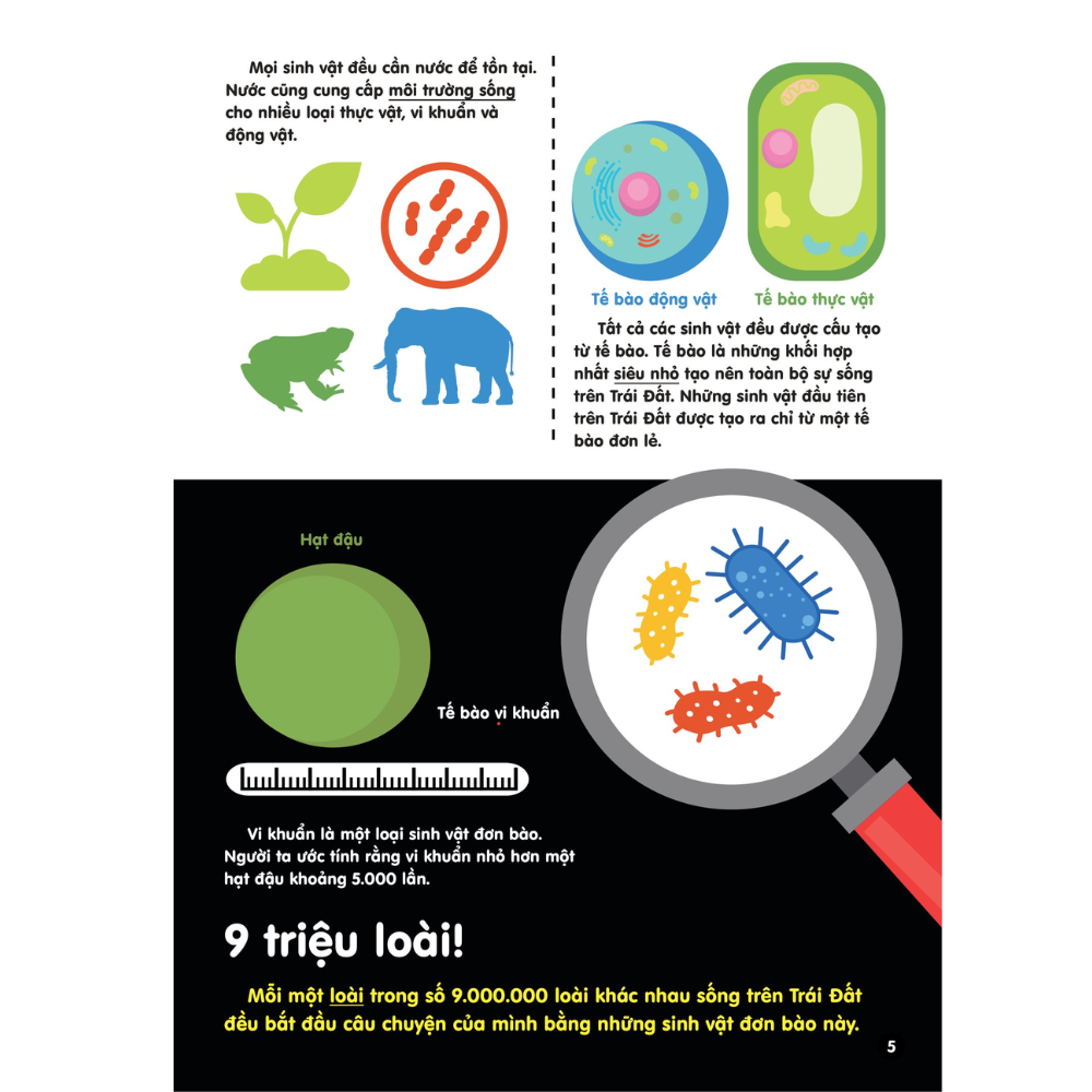 Infographics - Bách khoa tri thức bằng đồ họa cho trẻ em - Tiến hóa