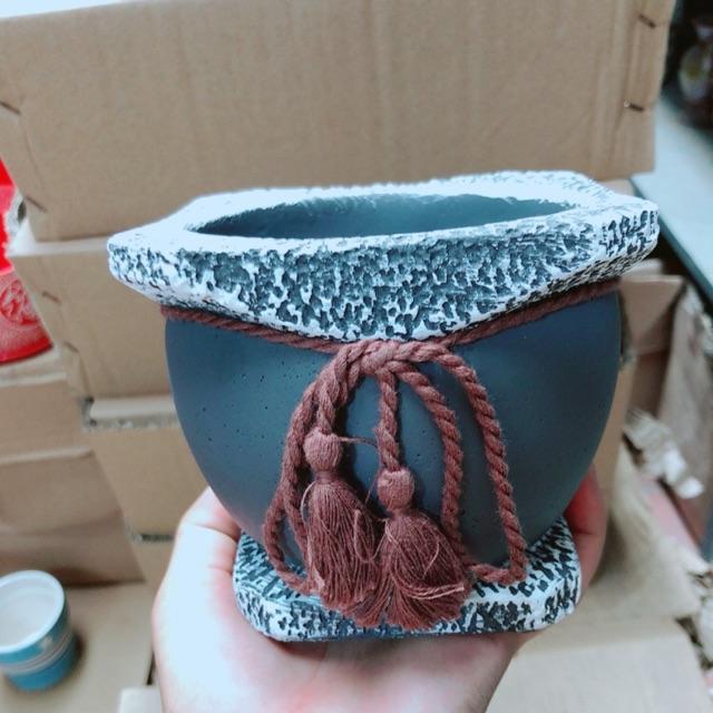 Chậu Trồng Cây
