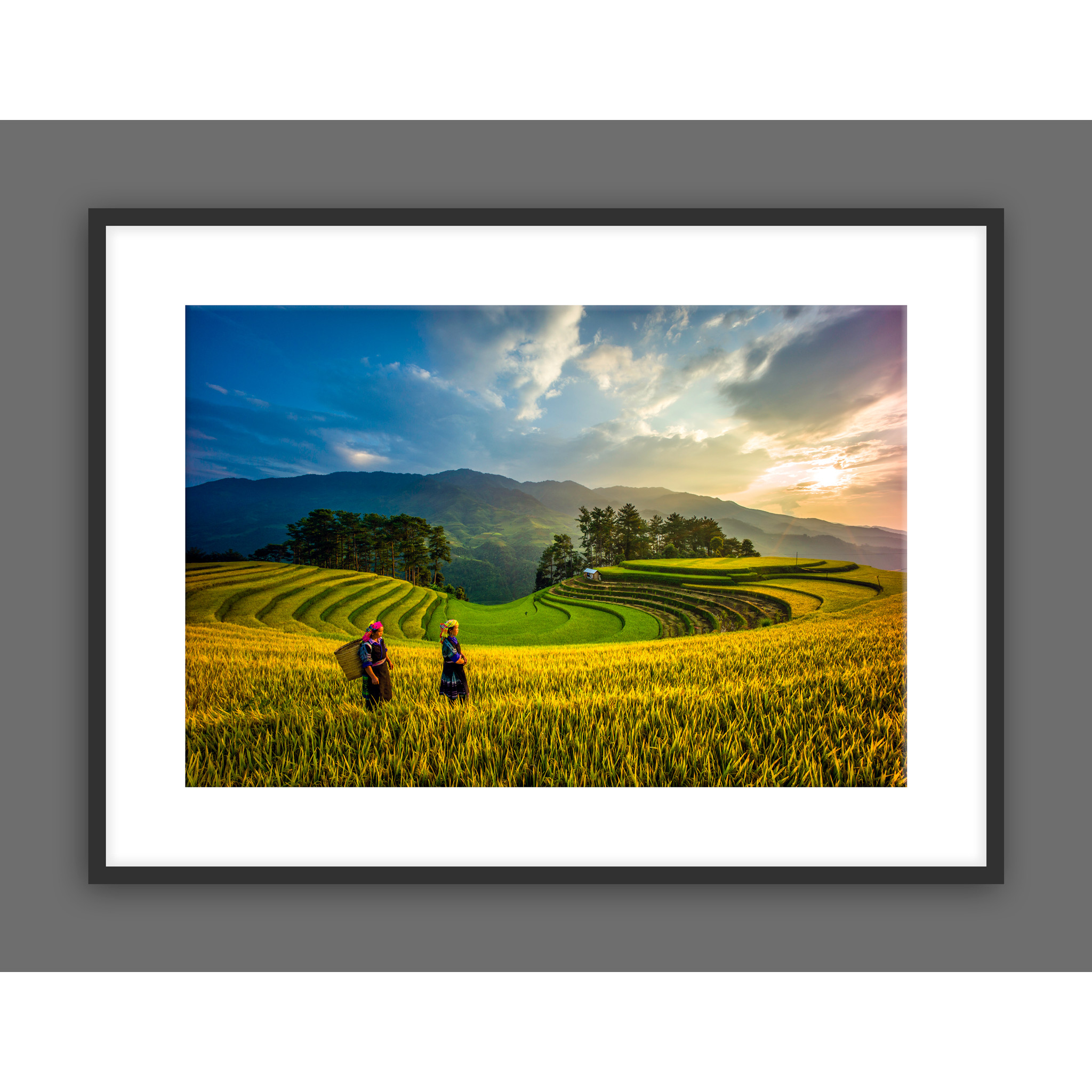 Tranh Treo Tường Phong Cảnh Ruộng Bậc Thang, In Trên Giấy Glossy Cao Cấp Với Công Nghệ In Tiên Tiến Của Nhật Bản