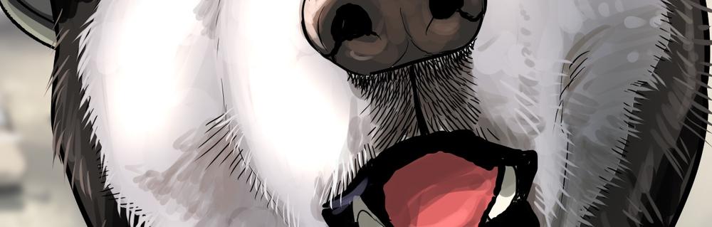 vua sinh tồn chapter 63 97