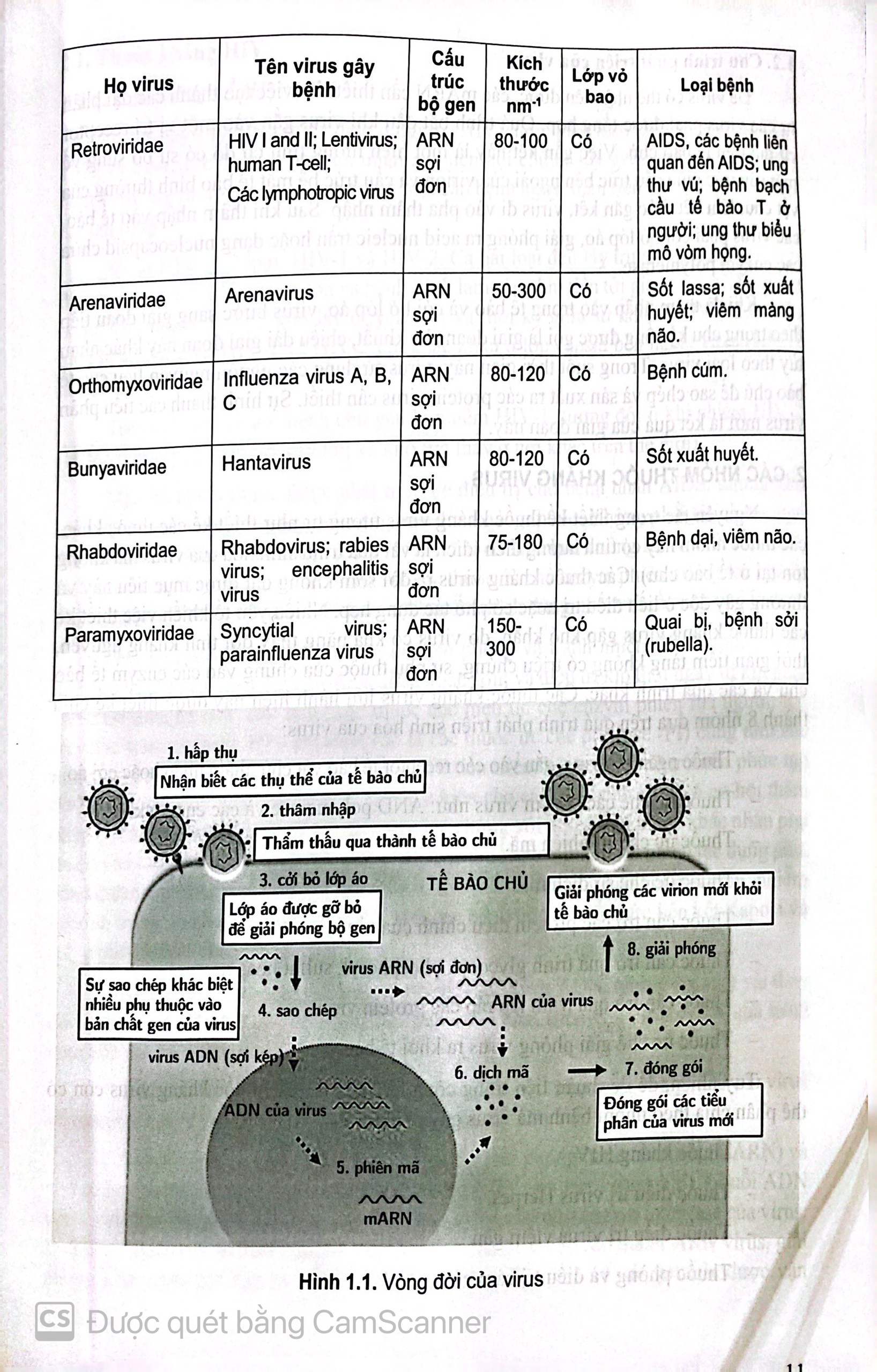 Benito - Sách - Hóa trị liệu - NXB Y học