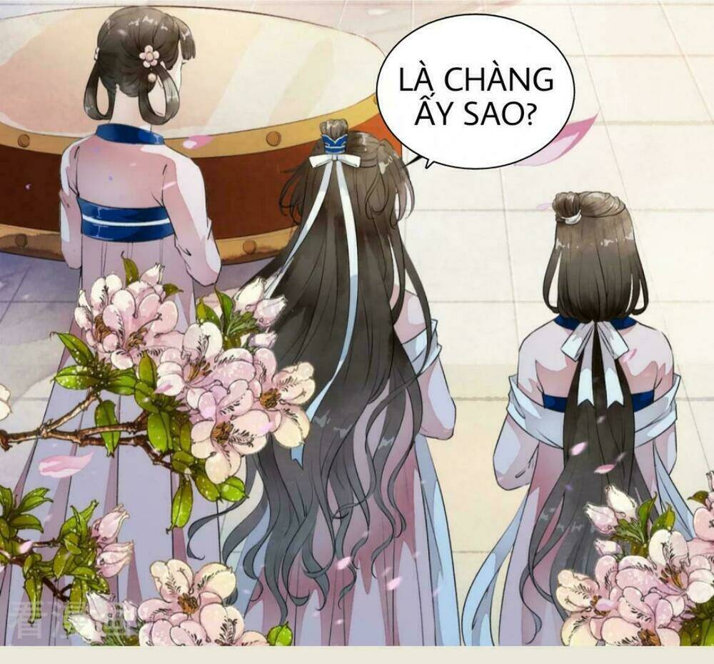 bạch liên yêu cơ người chapter 11 23