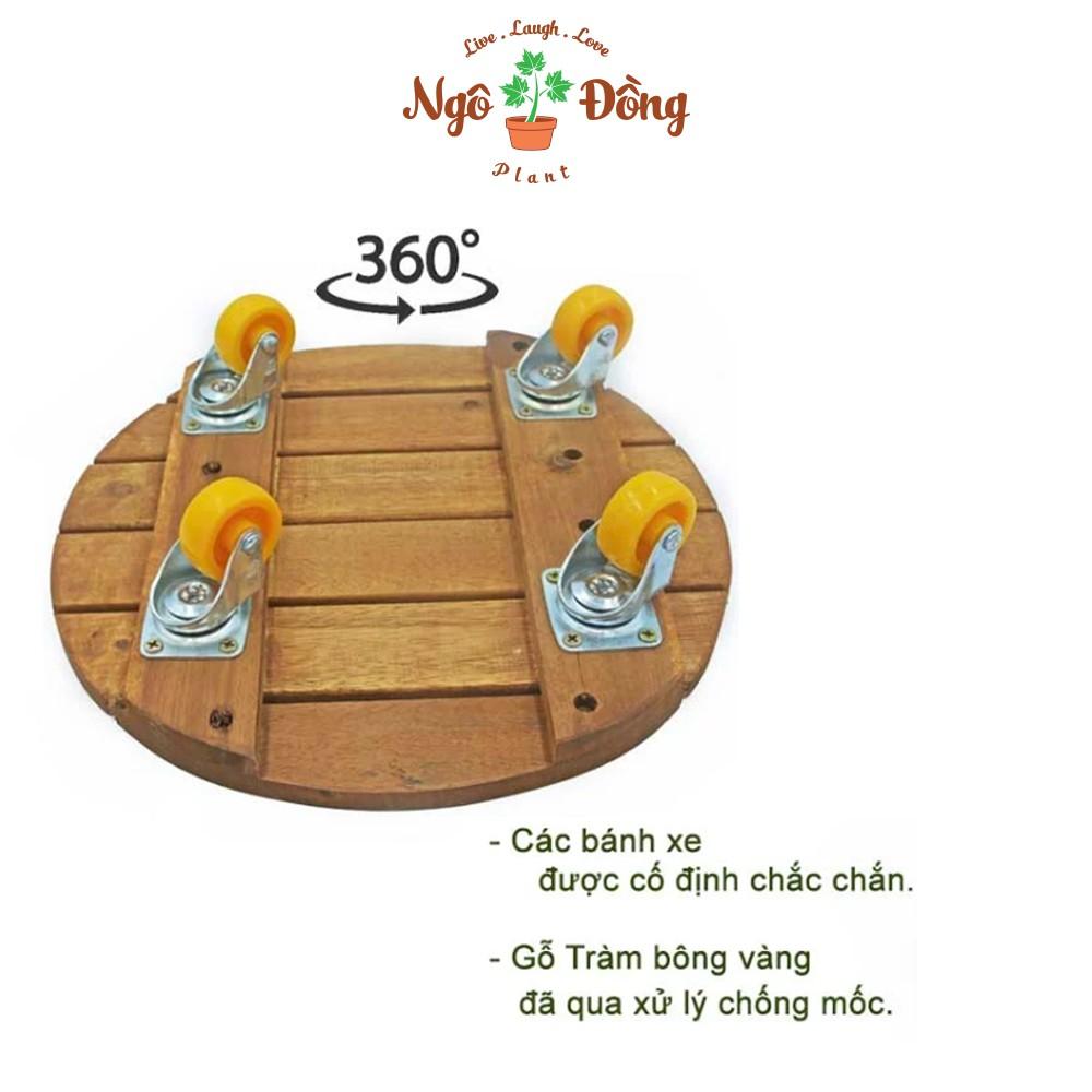 Đế Lót Chậu Cây Cảnh Gỗ Tràm Có Bánh Xe Tròn R30cm Chịu Lực Lên Đến 120kg