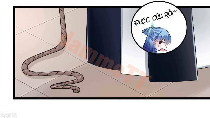 độc y đích nữ chapter 62 21