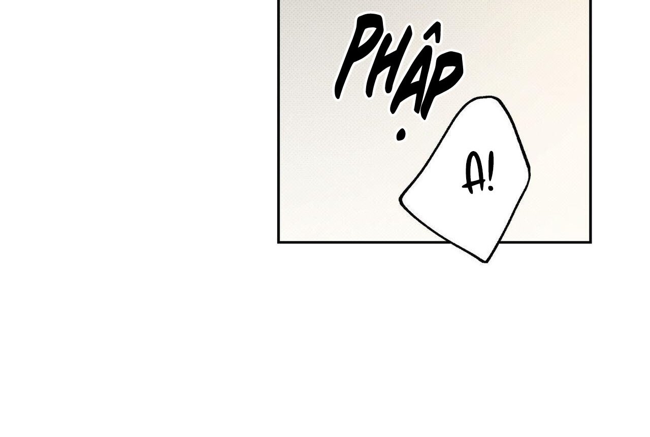 chàng giao pizza và gold palace chapter 47 8