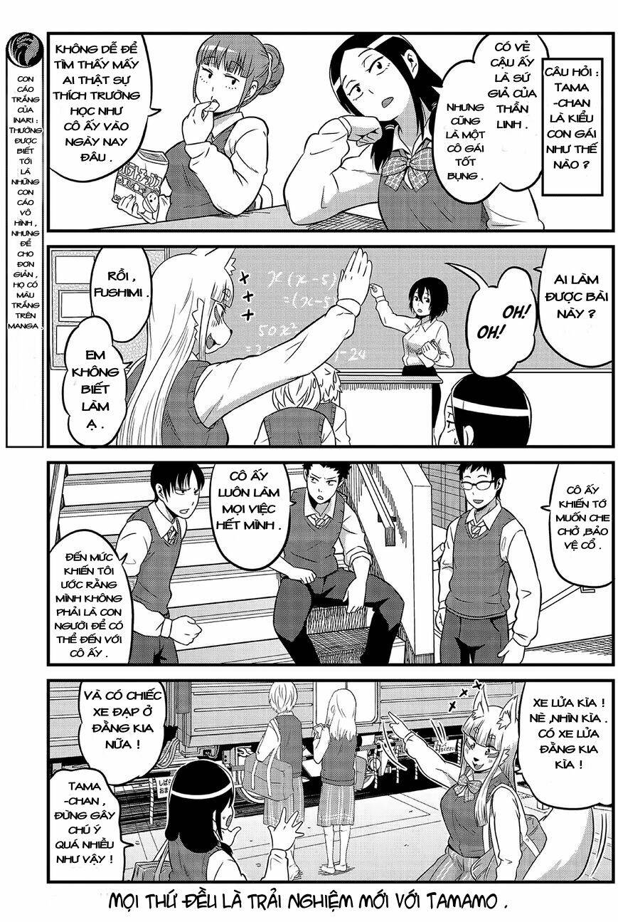 high school inari tamamo-chan ! chapter 1 9