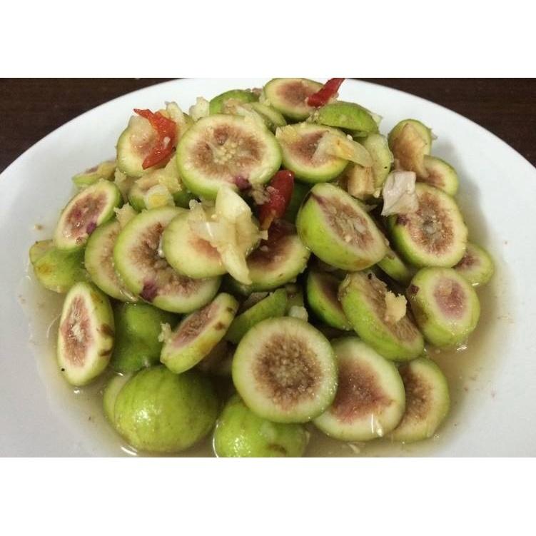 CÂY GIỐNG SUNG TA TRƯỞNG THÀNH