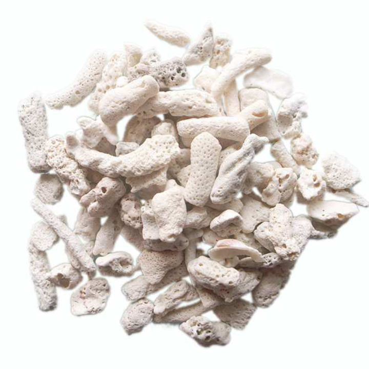 San hô vụn lọc nước tăng pH 1kg cho bể cá