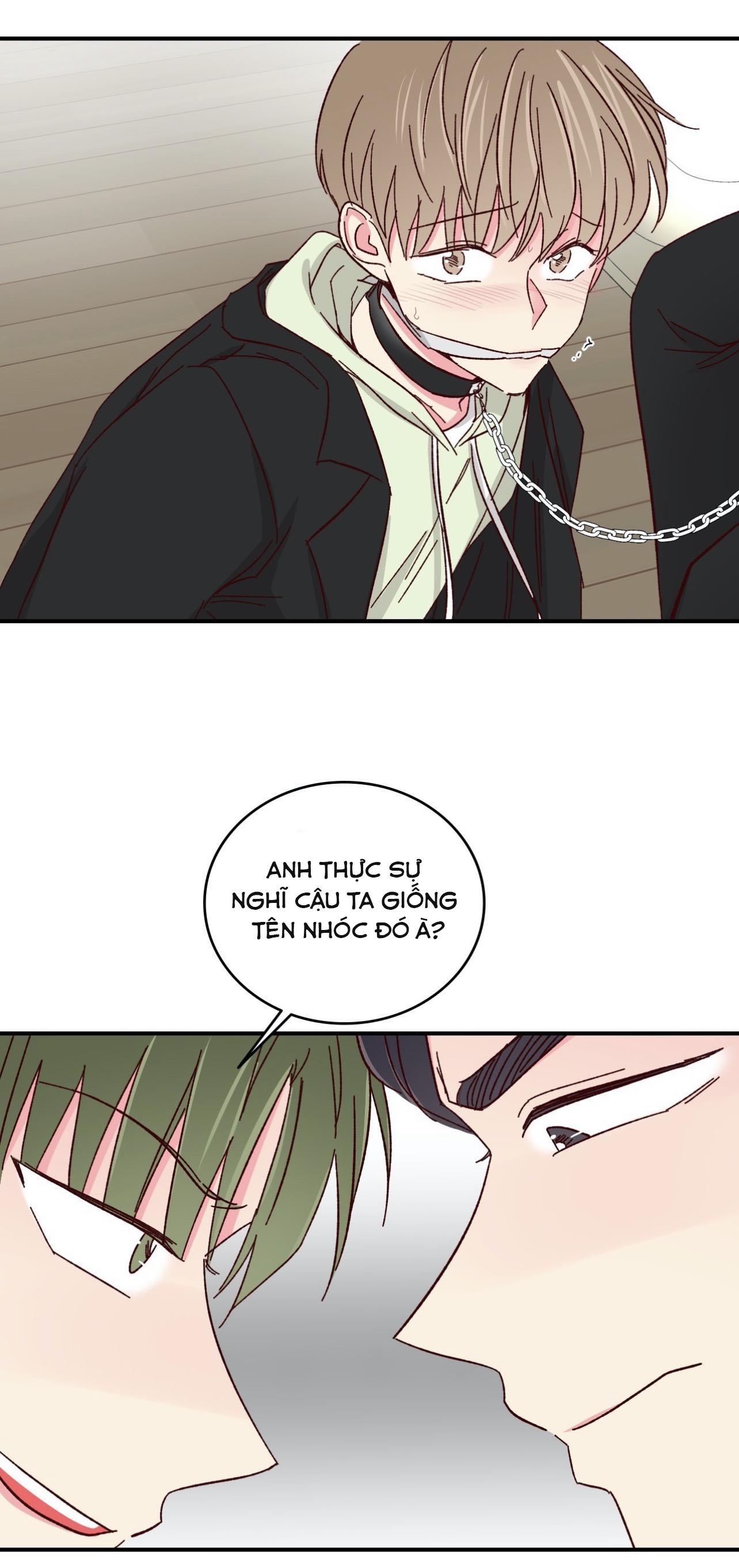 món tráng miệng của sếp tổng chapter 58 21