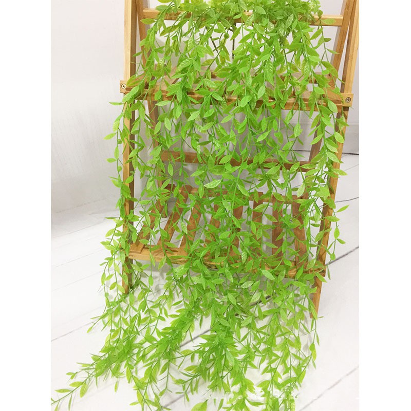 Dây cúc tần ấn độ giả - Dài 100 cm - Một cụm 5 nhánh – Cây giả trang trí decor siêu đẹp
