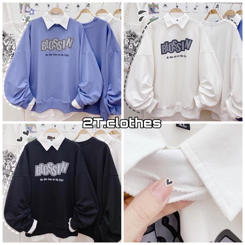 Áo Sweater Nỉ BLOSSIN Unisex