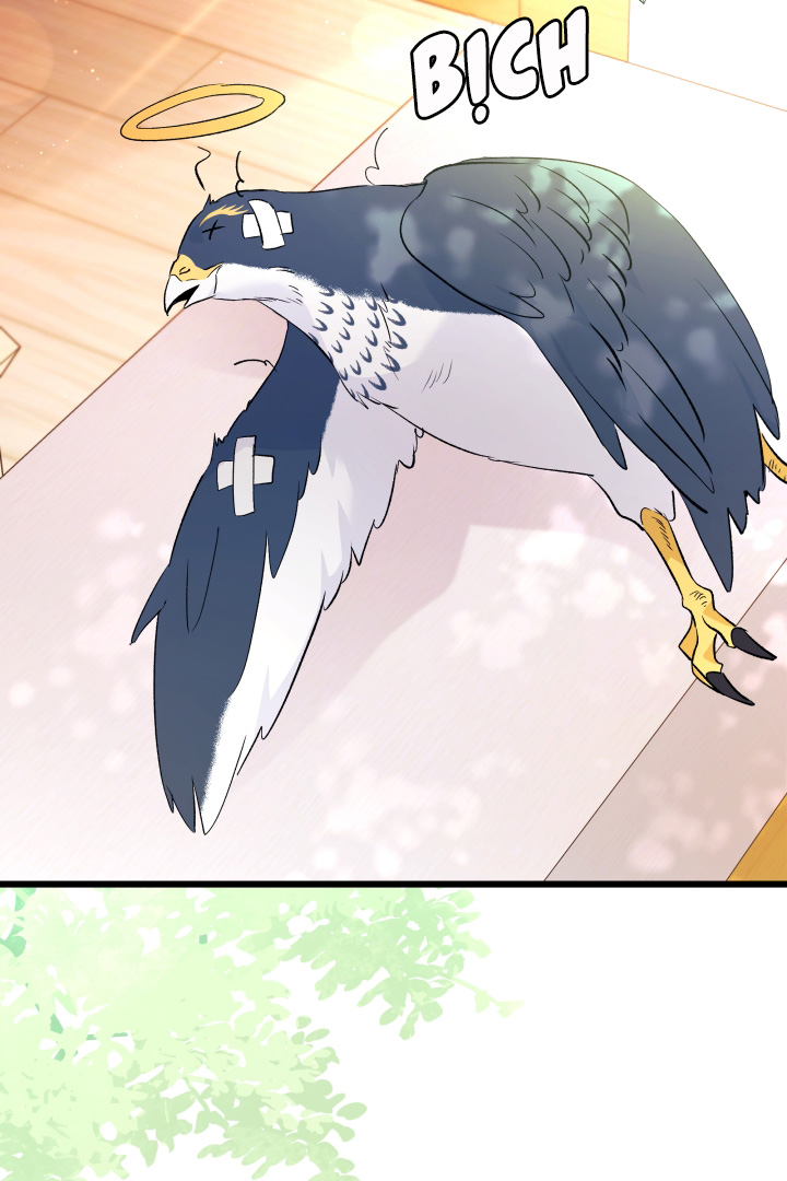 mối liên kết giữa báo đen và bé thỏ chapter 41.2 11