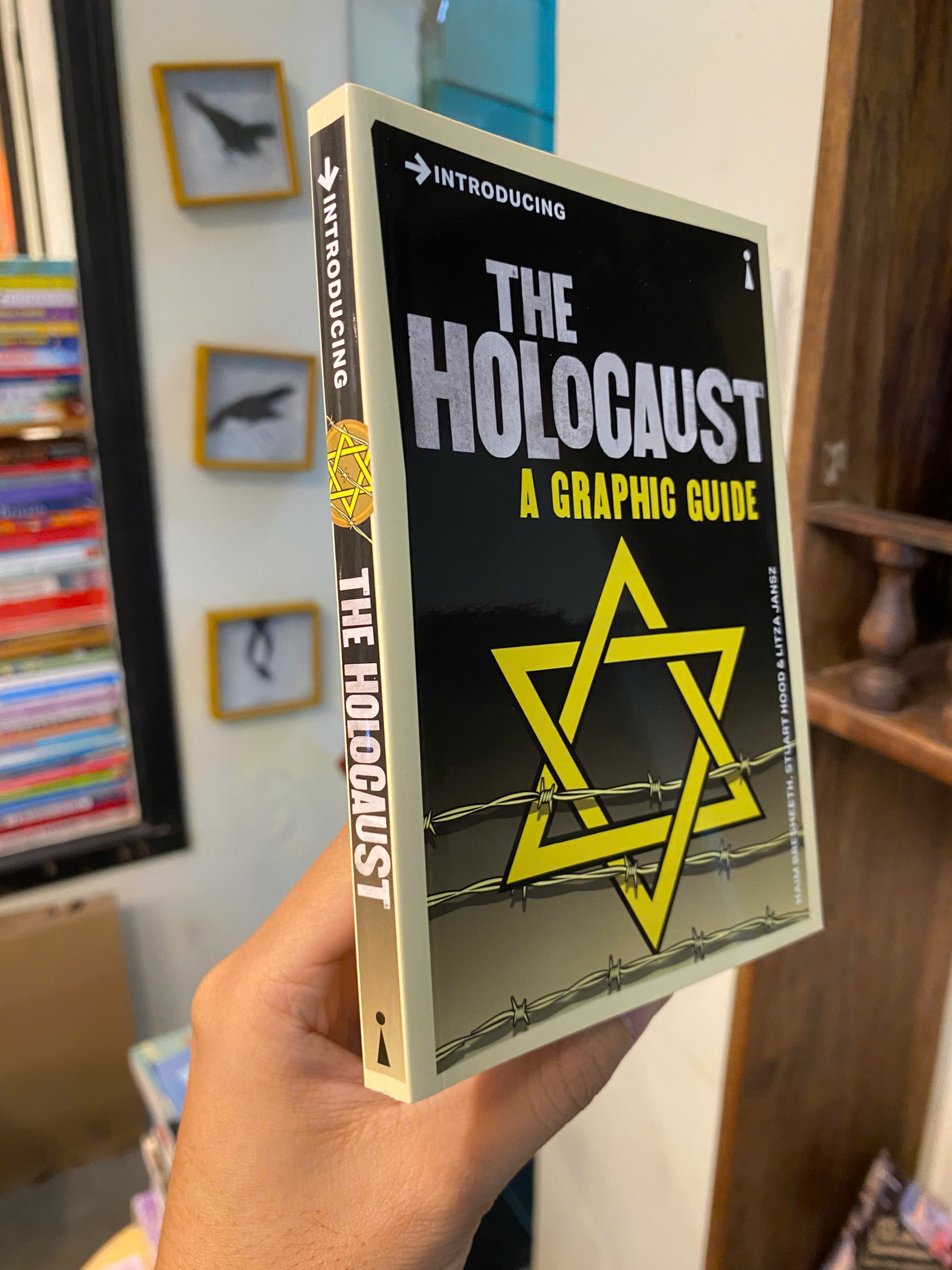 Sách - Introducing The Holocaust: A Graphic Guide by Haim Bresheeth | History Nonfiction