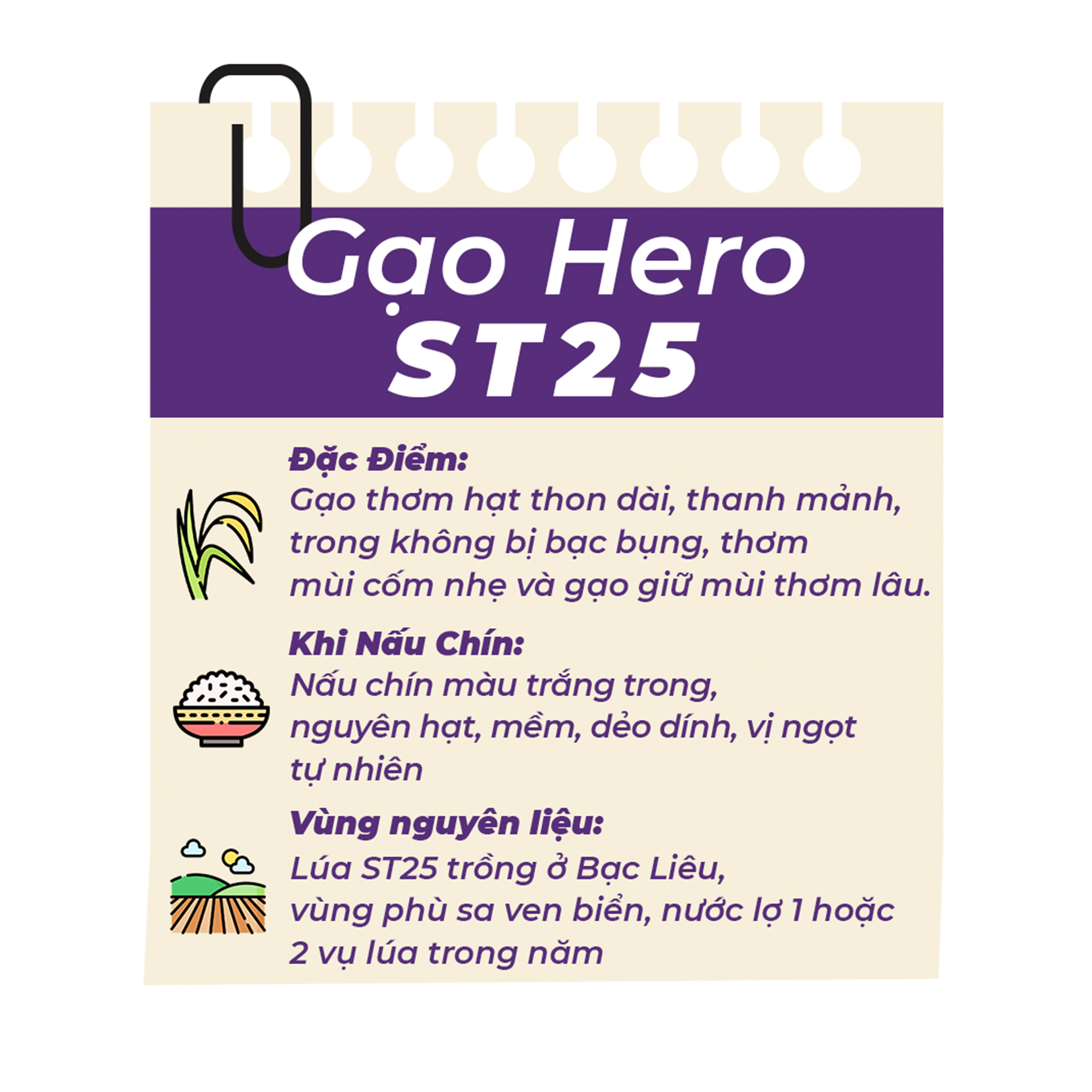 Gạo Hero ST25 Angel túi 5kg