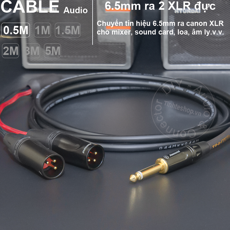 Dây 6 ly mono ra 2 canon đực DIY 0.5 đến 5 mét - 1/4 TS to 2 XLR male audio cable