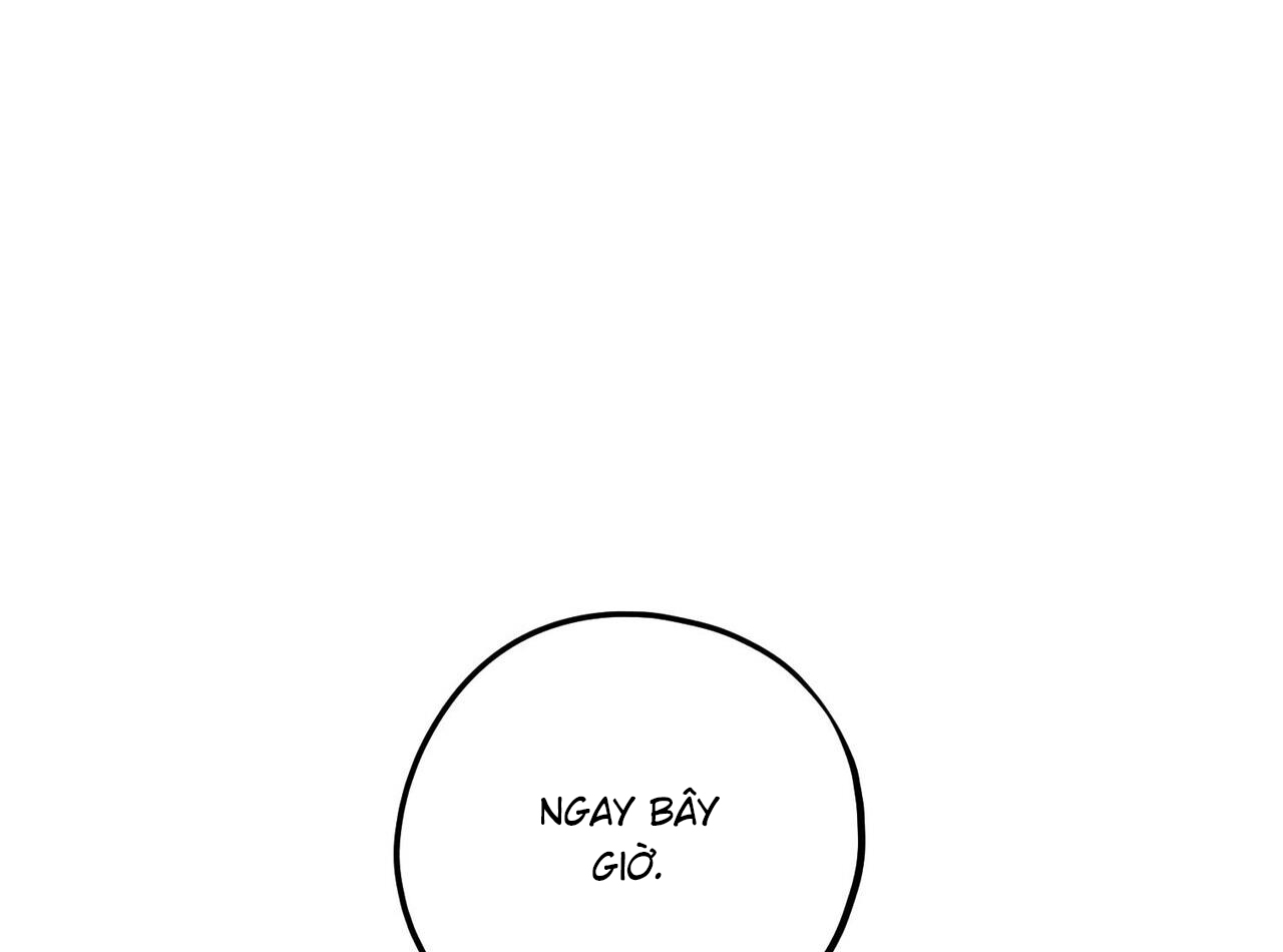 chàng dâu nhà họ kang chapter 44 7