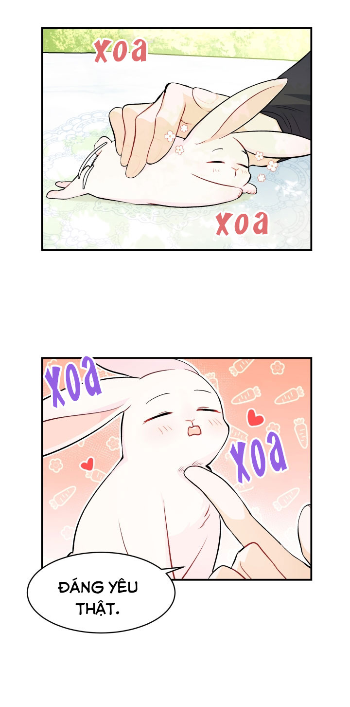 mối liên kết giữa báo đen và bé thỏ chapter 5 17