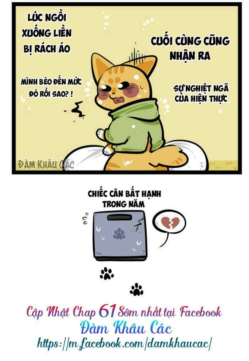 đời không như mình tưởng chapter 60 9