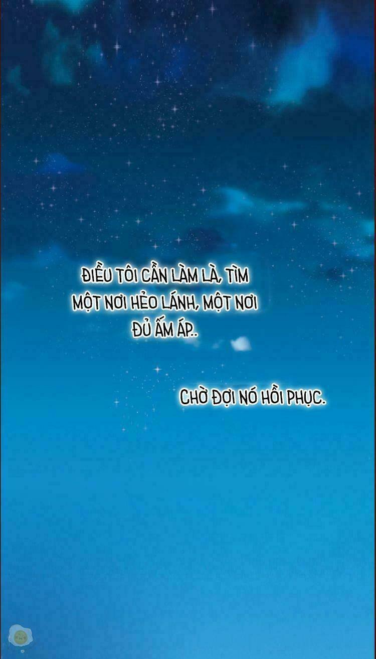 nở rộ trên bụi gai chapter 2 23