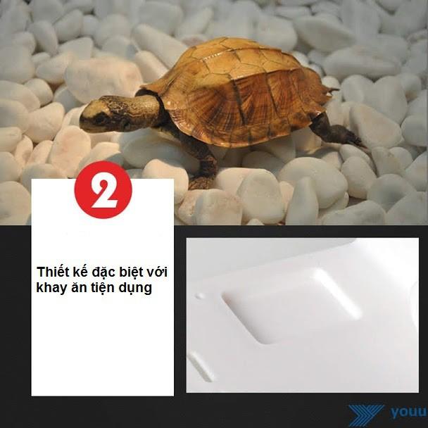 Máng leo cho rùa trắng